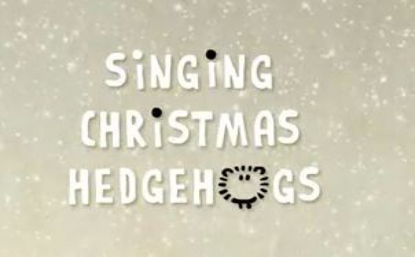 La sélection d'Eva: Spécial Noël avec les hérissons