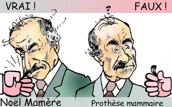 DESSIN DE PRESSE: Attention aux copies