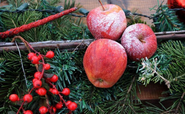 L’IMAGE DU JOUR – Pommes de Noël