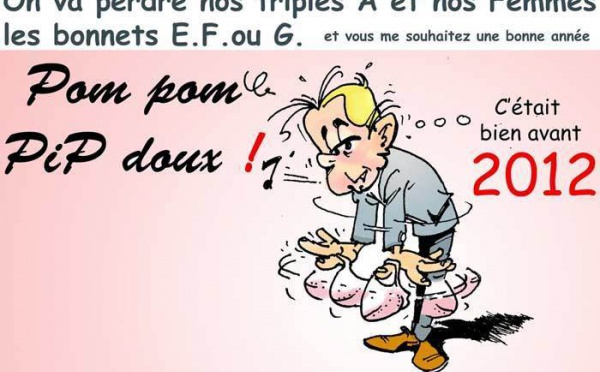 DESSIN DE PRESSE: Toutes les notes revues à la baisse