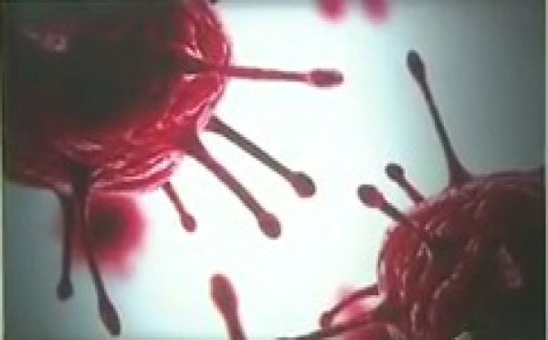 Progrès remarquables en 2011 dans la lutte contre le sida