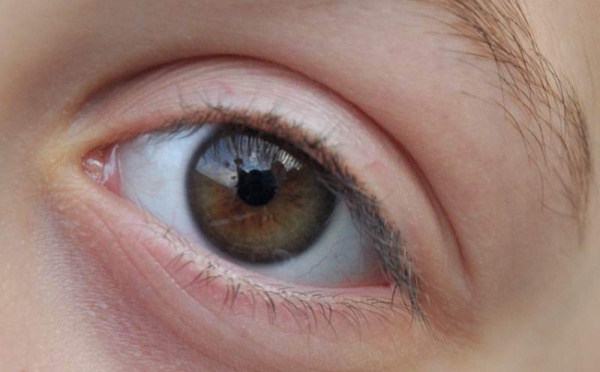 L’IMAGE DU JOUR – Dans les yeux