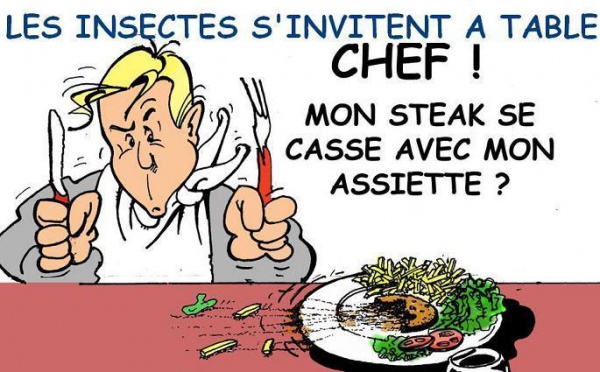 DESSIN DE PRESSE: Des blattes errant à table!