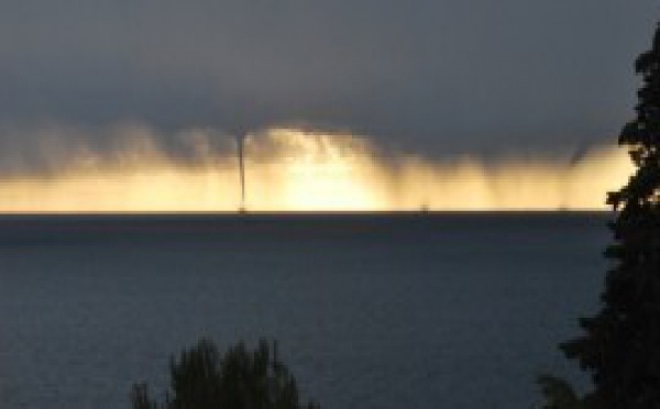 SPORTS HIPPIQUES: World Summer Cup 2012