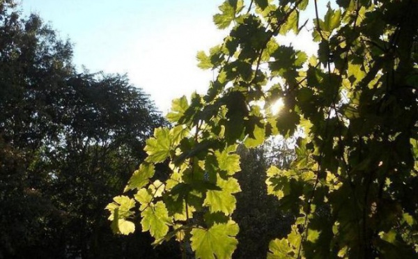 Affaires de succès en Roumanie