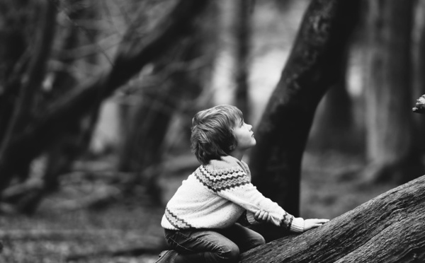 L'attachement au coeur du développement humain