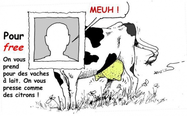 DESSIN DE PRESSE: Mammouth écrase les prix, Free aussi