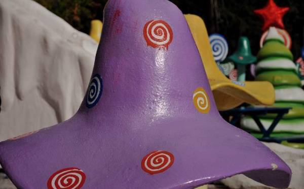 L’IMAGE DU JOUR – Chapeau ou champignon