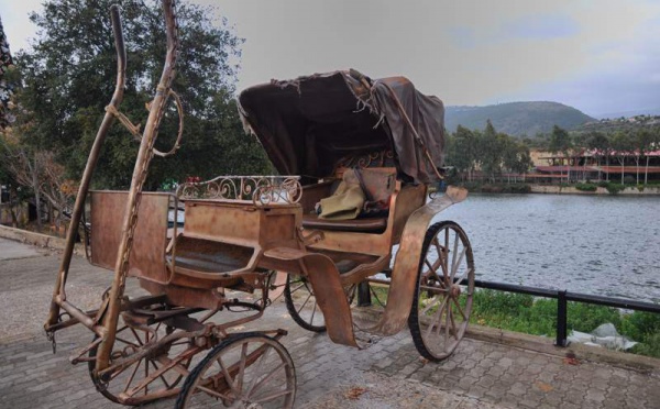 L’IMAGE DU JOUR – Carrosse