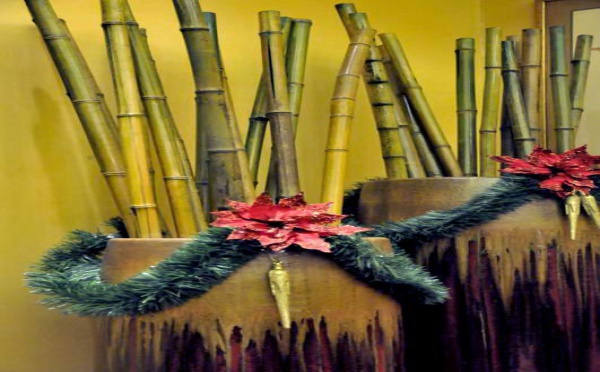 L’IMAGE DU JOUR – Bambou