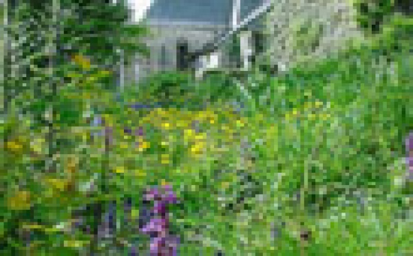 AUDIOGUIDE: Circuit dans le pays du Léon sur la route des enclos paroissiaux - 2