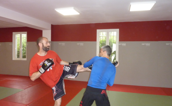 A la découverte du MMA ou Mixed Martial Arts