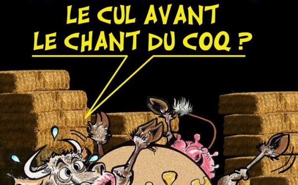 DESSIN DE PRESSE: Le salon où défilent les candidats