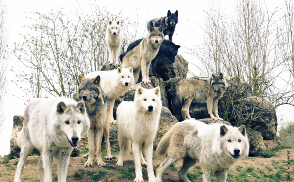 Les Rêves Clandestins du groupe Hum Hum à découvrir en vidéo