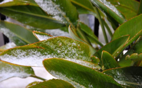 L’IMAGE DU JOUR – Le pouvoir de la nature