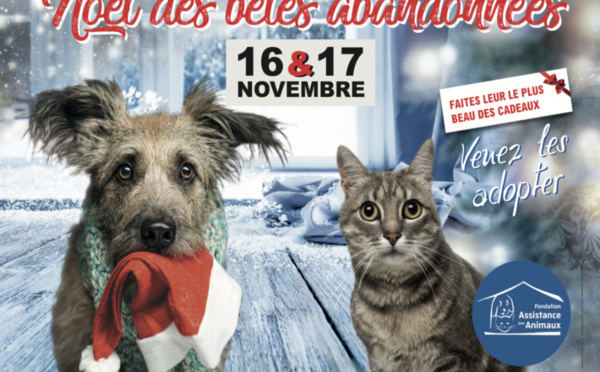 Le Noël des bêtes abandonnées revient à Nice ce week-end!