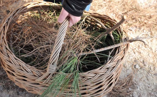 L’IMAGE DU JOUR – Pour faire du feu