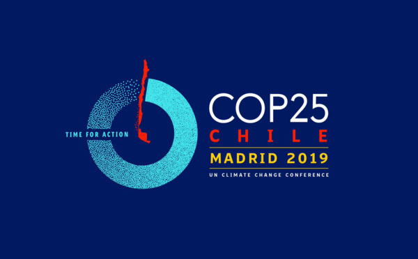 La COP 25 déçoit