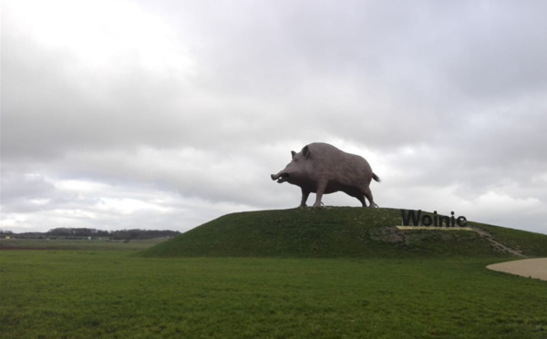 Nous dormirons à Sedan