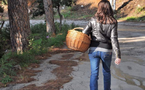 L’IMAGE DU JOUR – Promenade en forêt
