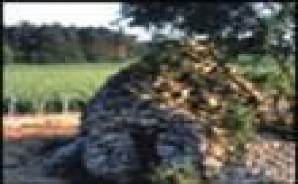 AUDIOGUIDE: Côte des Bar - 7