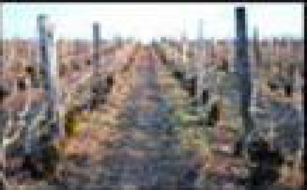 AUDIOGUIDE: Côte des Bar - 8