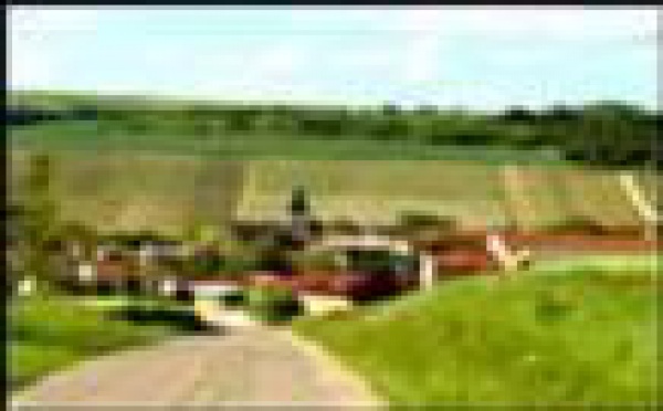 AUDIOGUIDE: Côte des Bar - 9