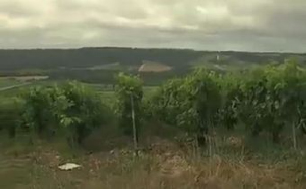 AUDIOGUIDE: Côte des Bar - 14