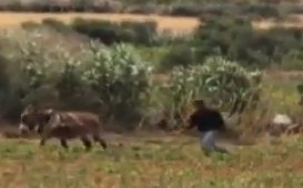 Croissance et environnement