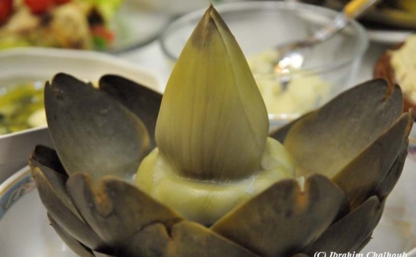 L’IMAGE DU JOUR – Les artichauts