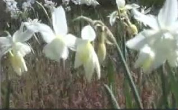 AUDIOGUIDE: Château de Fontainebleau - 3