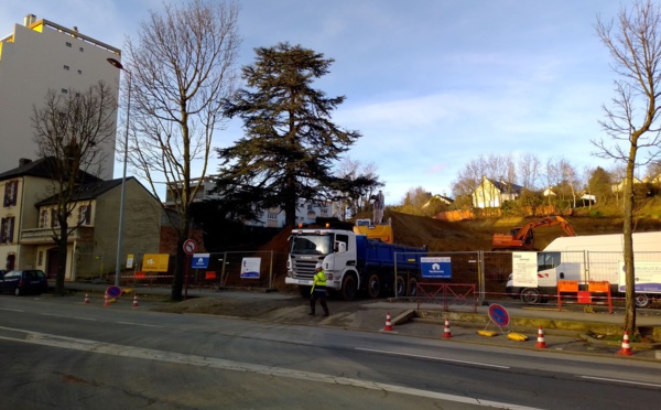 La ville, le cèdre et les pelleteuses