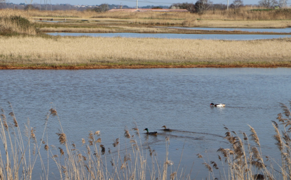 Revoir l'Estuaire de la Gironde