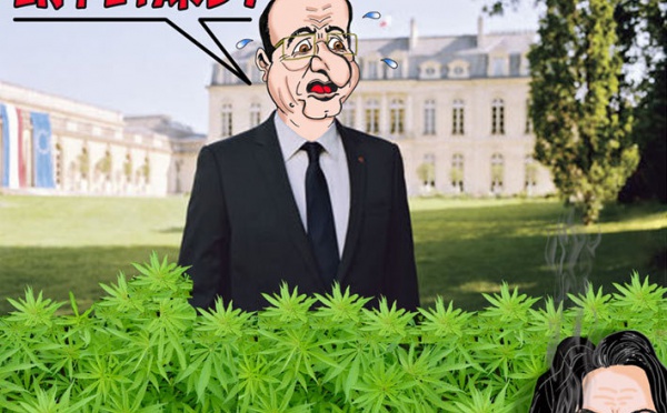 DESSIN DE PRESSE: Débat fumant sur le cannabis