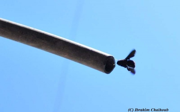 L’IMAGE DU JOUR – Où s’abriter?