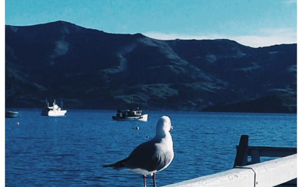 Vitality weekly column : Quarantine and communication change