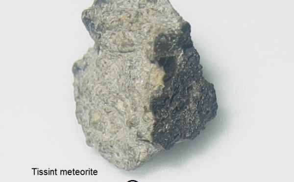 Les premiers secrets de la météorite martienne