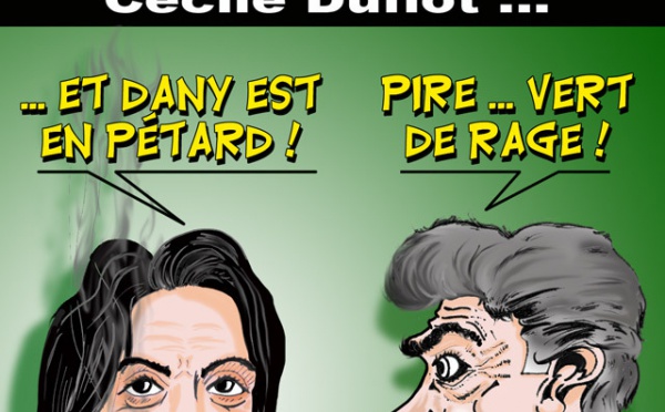 DESSIN DE PRESSE: Durand succède à Duflot