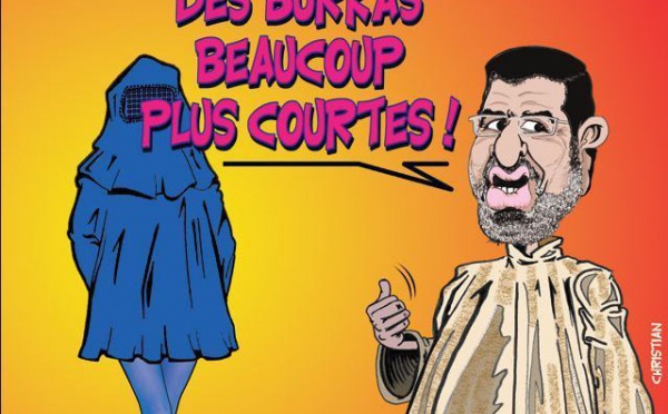 DESSIN DE PRESSE: Mohamed Morsi élu