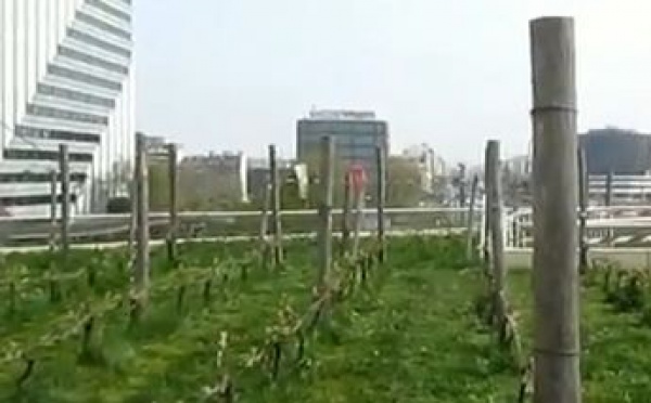 AUDIOGUIDE: La Défense - 2