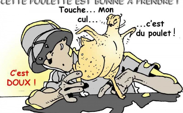 DESSIN DE PRESSE: Volaille pauvre en masse salariale