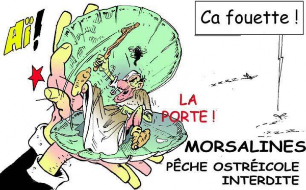 DESSIN DE PRESSE: Les mollusques ne s'en offusquent pas