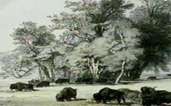 AUDIOGUIDE: Barbizon - 10