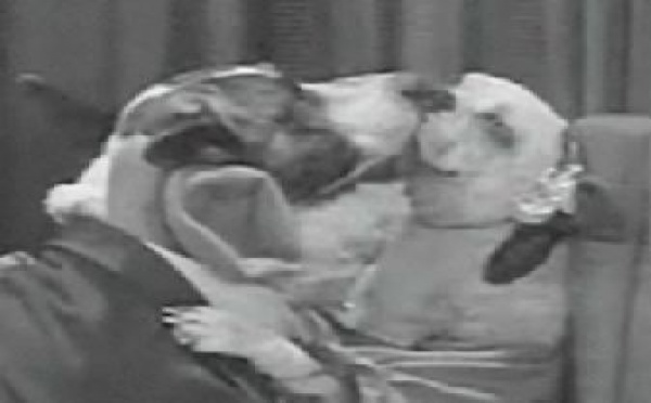 La sélection d'Eva: The Dogway Melody