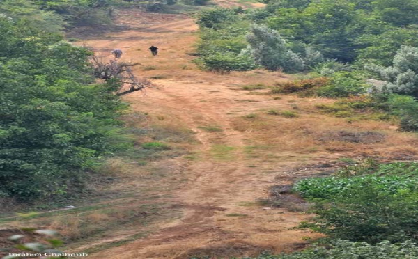 L’IMAGE DU JOUR – Le chemin de la vie