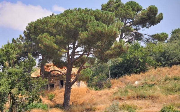 L’IMAGE DU JOUR – La maison cachée