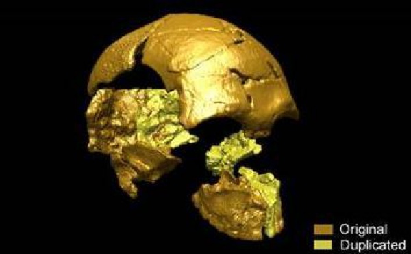 Découverte du plus ancien Homme moderne asiatique