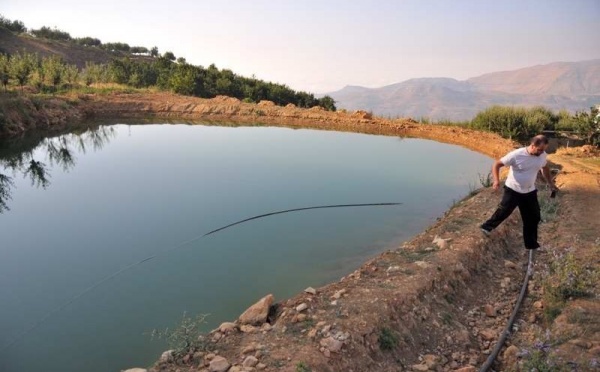 L’IMAGE DU JOUR – Les bassins bio