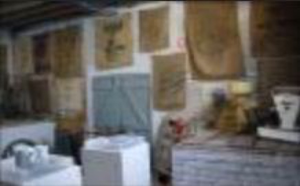 AUDIOGUIDE: Amélie au pays de Matisse - 2