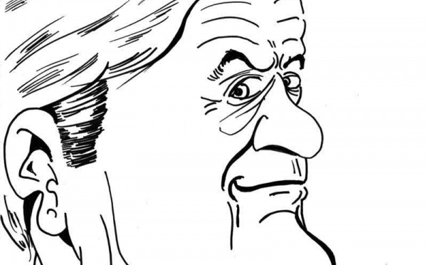 DESSIN DE PRESSE: Mais où est la 7e compagnie?